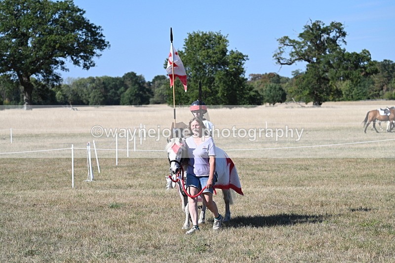 WJ7_2563 - Class 45 Fancy Dress (My Fav)