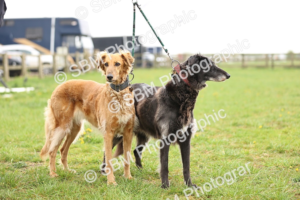 SBM_000260 - Class 3 - P4