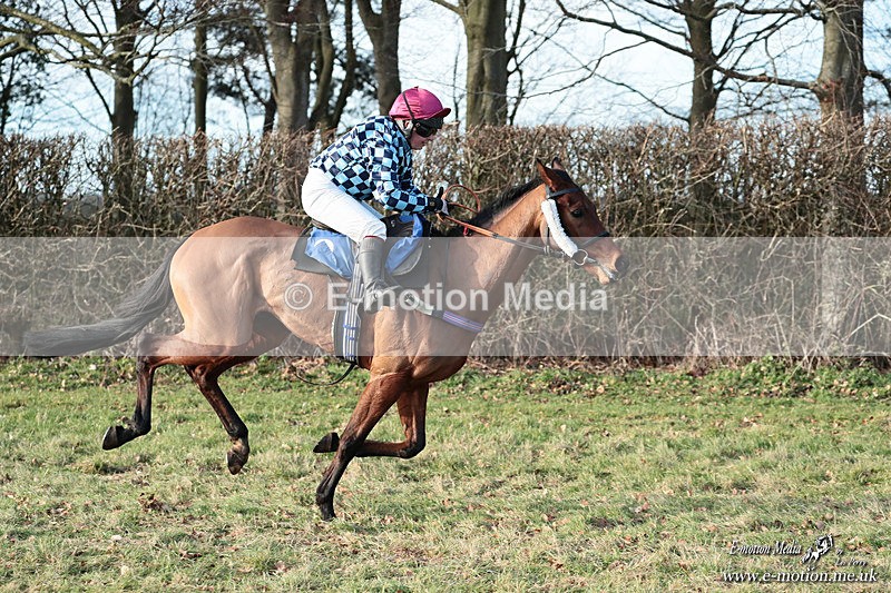 PtP 240126 648 - Cambridgeshire & Enfield Chase PtP Horseheath 24/01/26