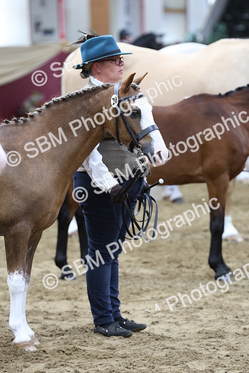 SBM_22462 - Class 902 - Supreme Final - IH Diamond