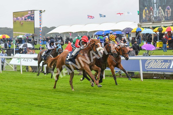140723-Race 1-Northern Express-0048 - Race 1 2.05pm William Hill Epic Value Handicap
