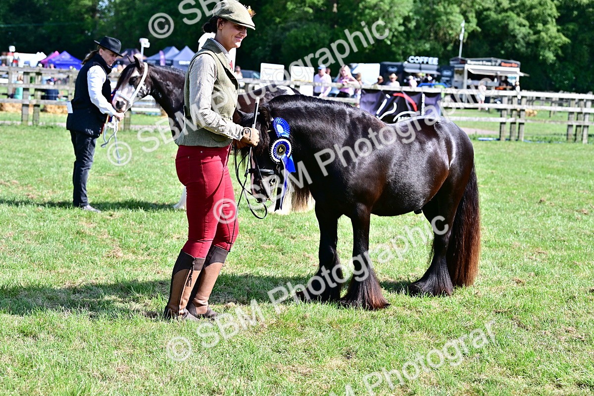 SBM_09514 - Class 63-65 - Traditional Gypsy Cobs In Hand & Ridden