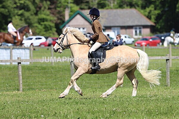 IMG_3878 - Working Hunter