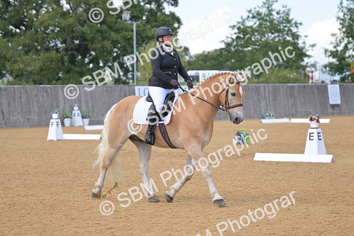 SBM_11132 - D3 - Small Tour Championship Intro 3