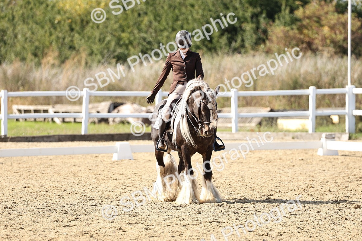 SBM_015266 - Class 9 - Advanced medium 3