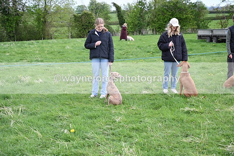 WJ6_8017 - Class 2 Best Pedigree