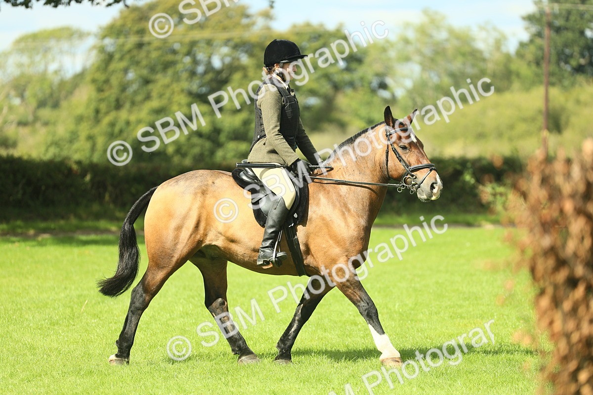 SBM_42090 - S29 - Novice & Newcomers Working Hunter Pony