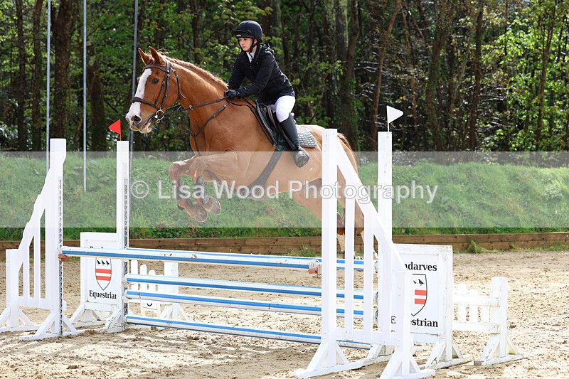 3E7A0860 - Class 4: Senior British Novice/90cm open
