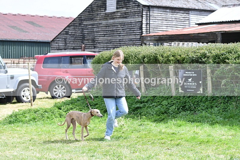 WJ5_9679 - Class 3 Most Handsome Dog