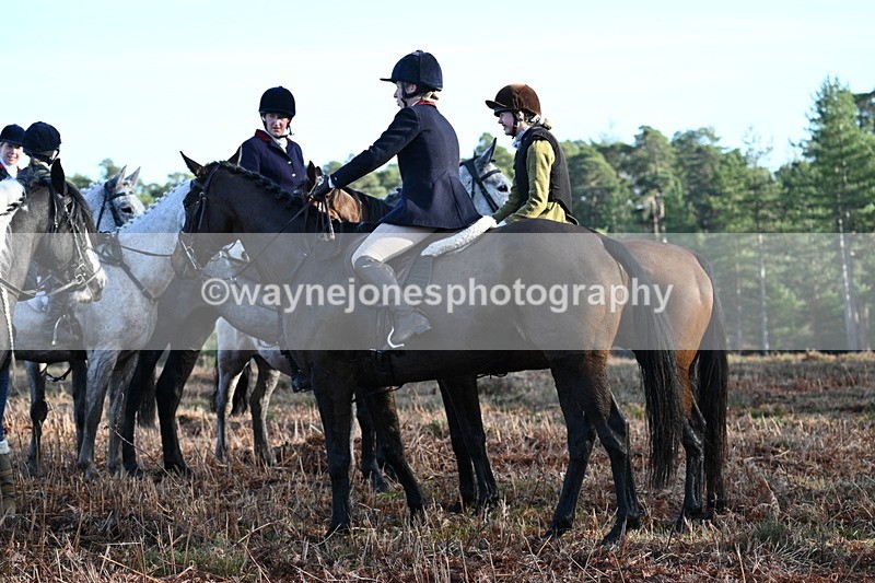 WJ7_7193 - Line 3 (no line 4 or 5)