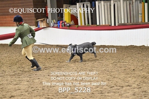 BPP_5228 - CLASS 5 HORSE AND HOUND