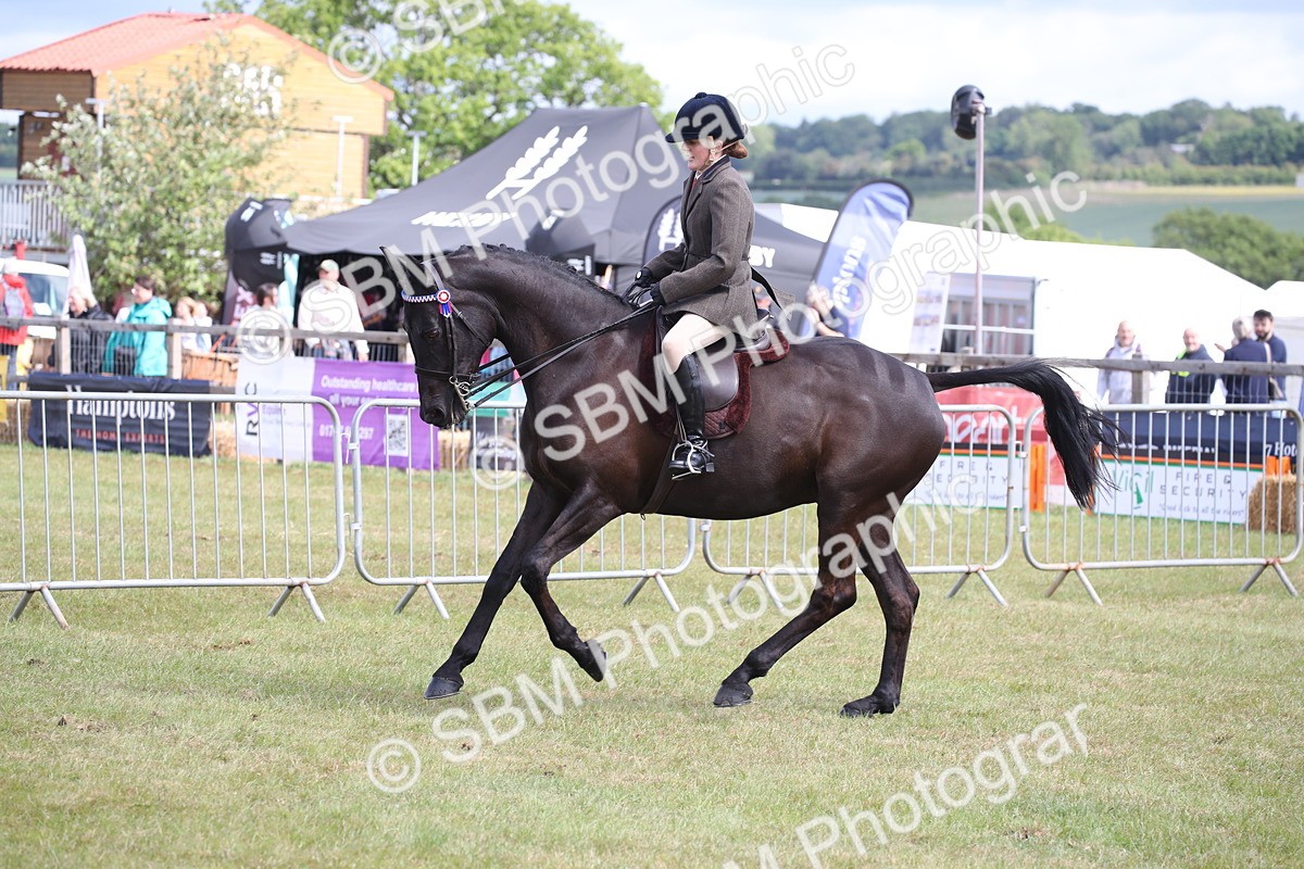 SBM_13245 - Class 95-96 - LIHS BSHA Rising Star Hack Riding Horse