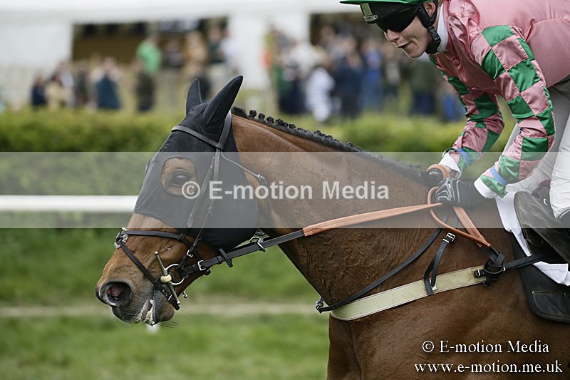 PtP 170417 575 - Old Berks Point-to-Point Lockinge 17/04/17