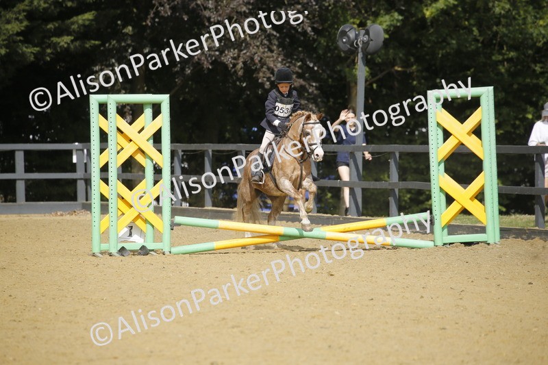 20250622-1559 - 40cm