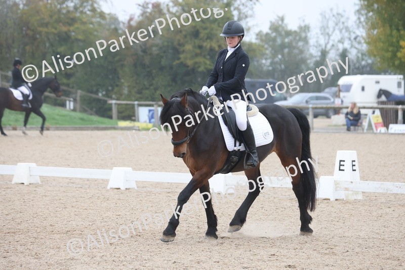 20251012-0429 - Class 3 - Novice 5