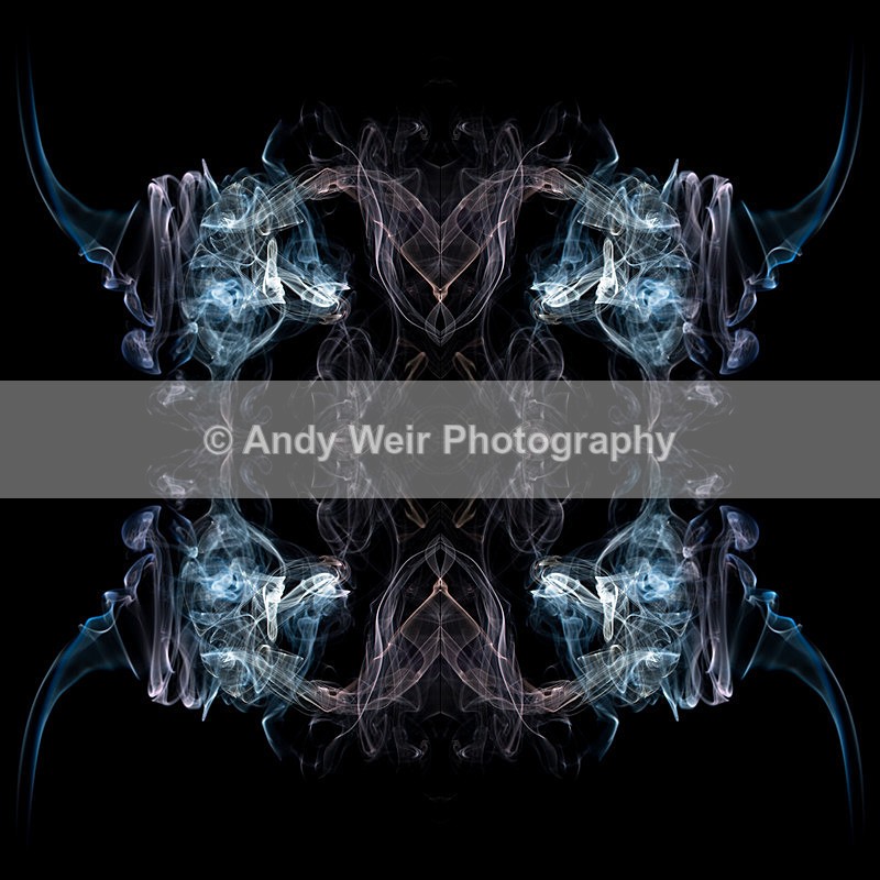 20121202-_MG_1422-1654-1658 - Insects