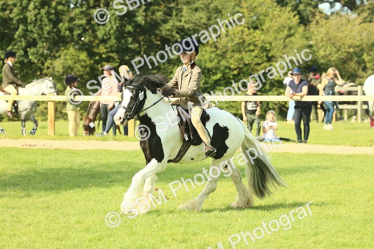 SBM_68905 - S58 - Mini Show Cob Ridden