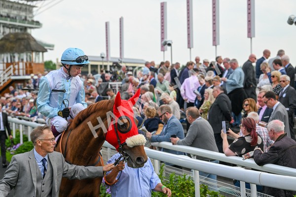 170524-Race 4-Giavellotto-8010 - Race 4 3.45pm Boodles Yorkshire Cup Stakes