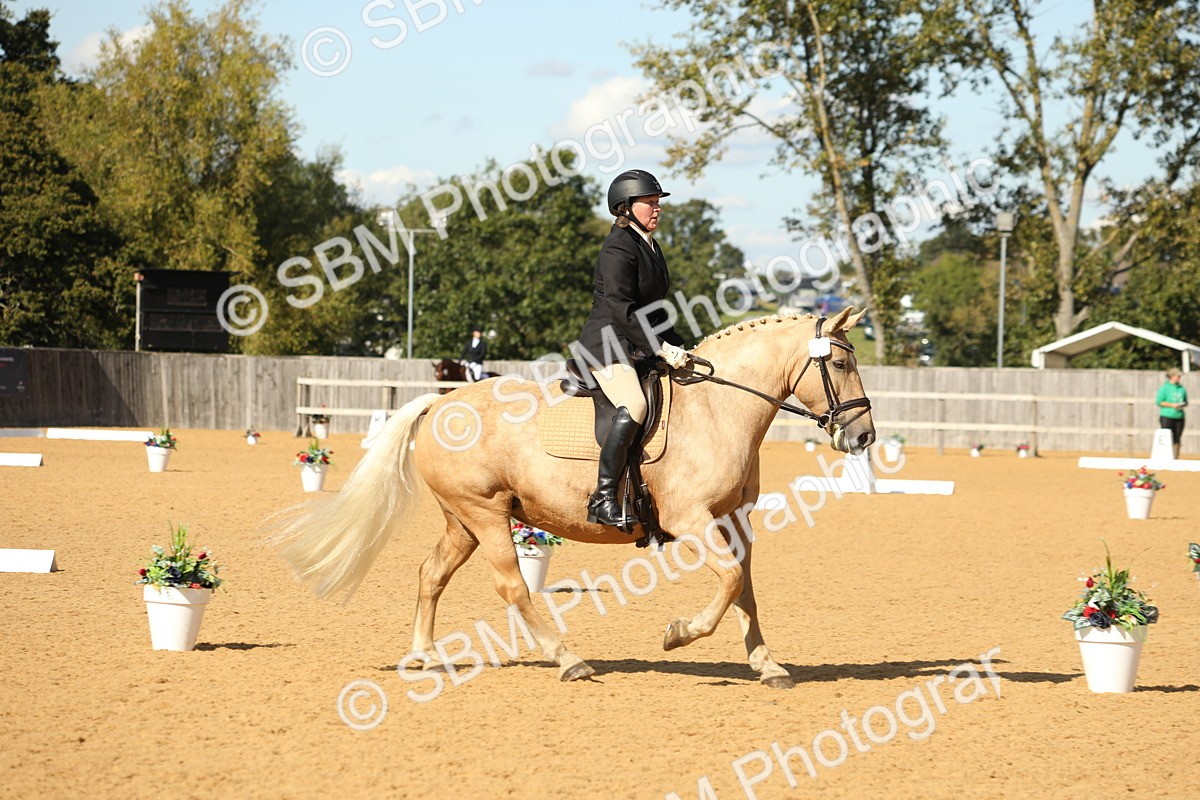 SBM_24569 - D17 - Grand Tour Championship - Novice 27