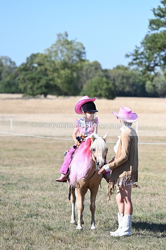 WJ7_2591 - Class 45 Fancy Dress (My Fav)