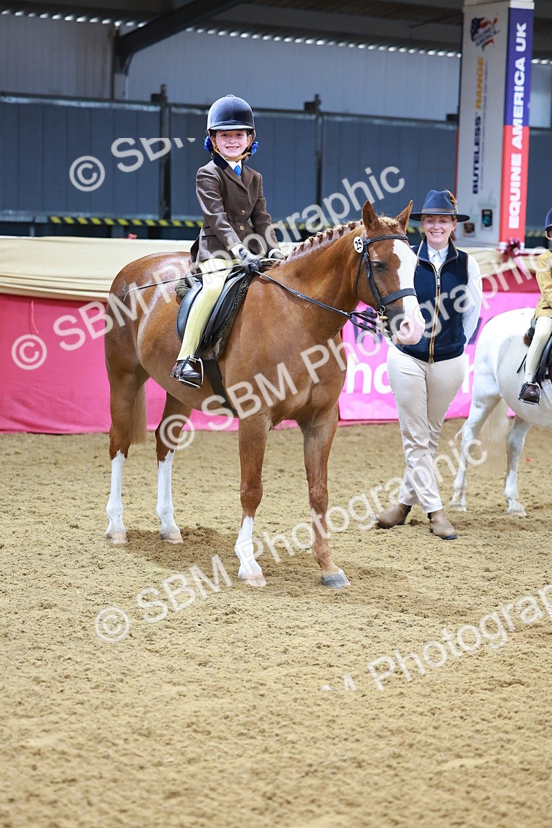 SBM_07734 - Class 101 - HOYS Veteran Qualifier - Ridden Diamond