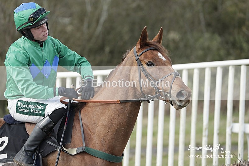 PtP 180323 564 - Shelfield Park Races with Croome & West Warwickshire Hunt  18/03/23