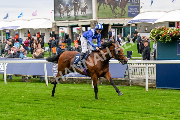 101025-Race 3-Mukhtalif-0231 - Race 3 William Hill Each Way Extra Handicap at York
