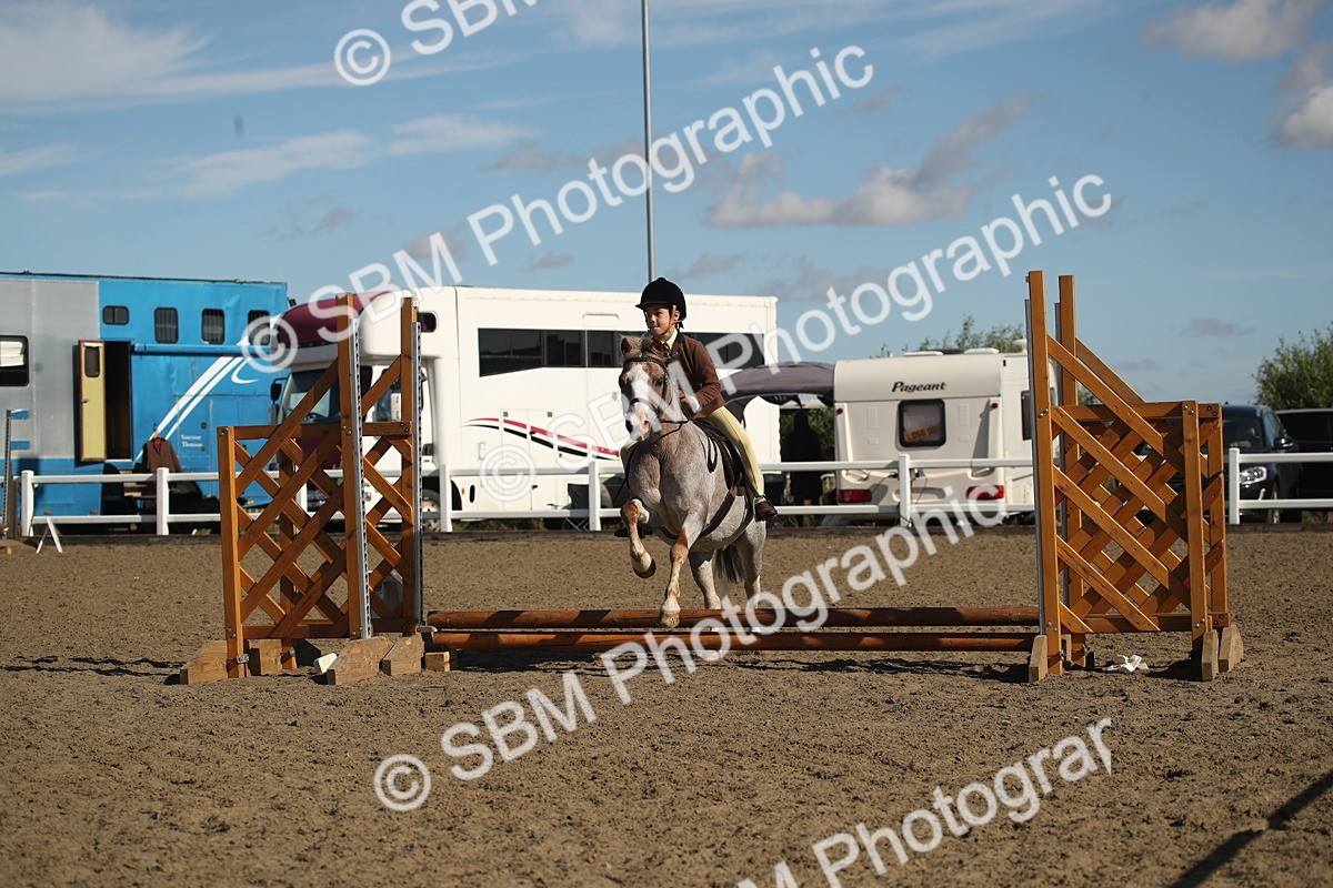 SBM_12703 - Class 504b - Junior Working Veteran - 40cm (20+)