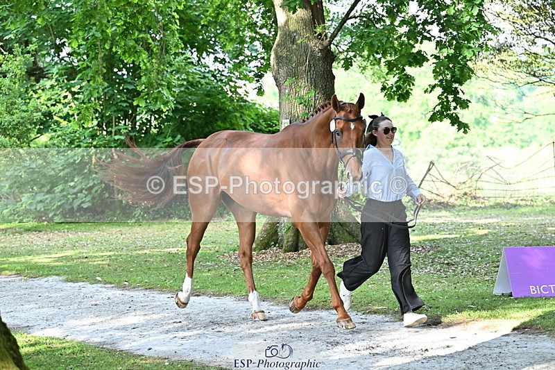 250521A-164729-01331 - C-259-Jasmine.Holmes-MSH.BONANZA