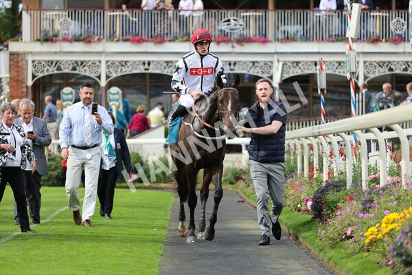 yr04092022r4-27 - Race 4 3.30pm Federation of Bloodstock Agents Nursery Handicap
