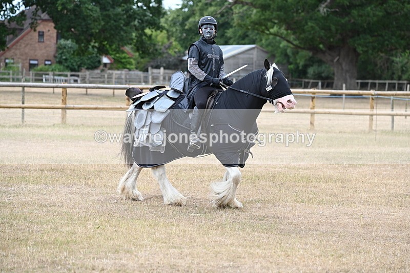 WJ6_8859 - Class 11 Fancy Dress