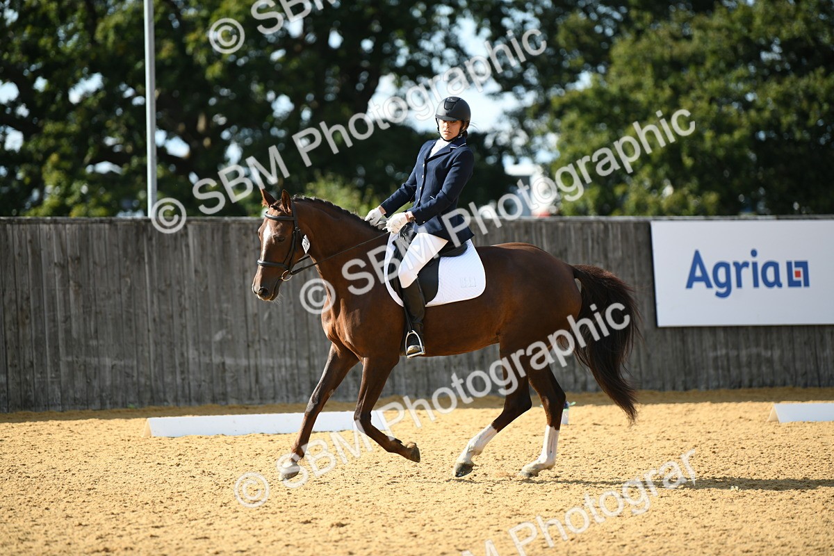 SBM_27068 - D16 - Small Tour Championship - Novice 28