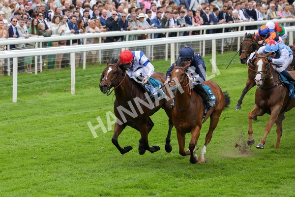 250524-Race 1-Tiriac-2965 - Race 1 1.35pm William Hill Keep Your Raceday Positive Handicap