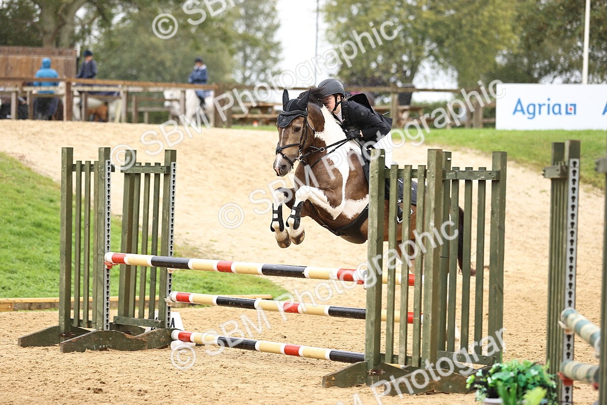 SBM_70003 - Supreme Championship 80cm 85cm