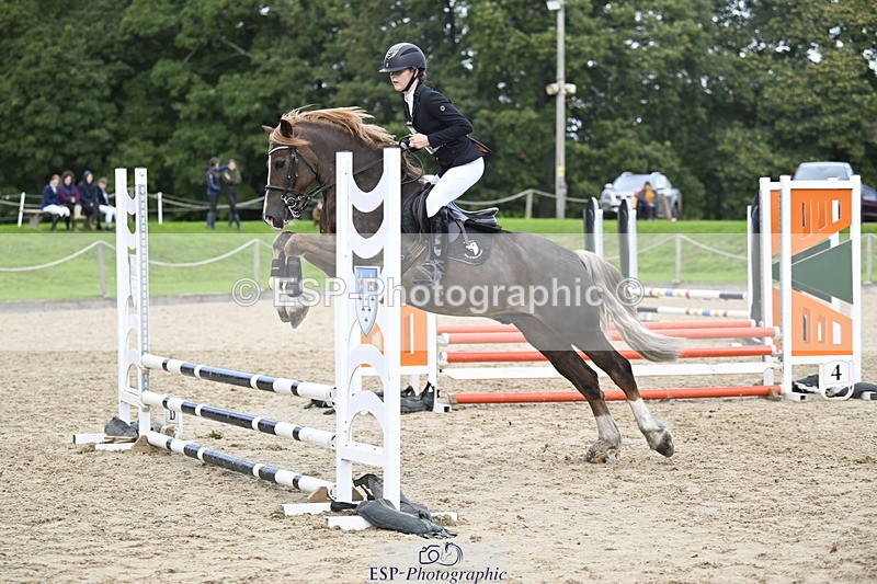 251005A-130257-04021 - Cls 08 Mini 70-75cm