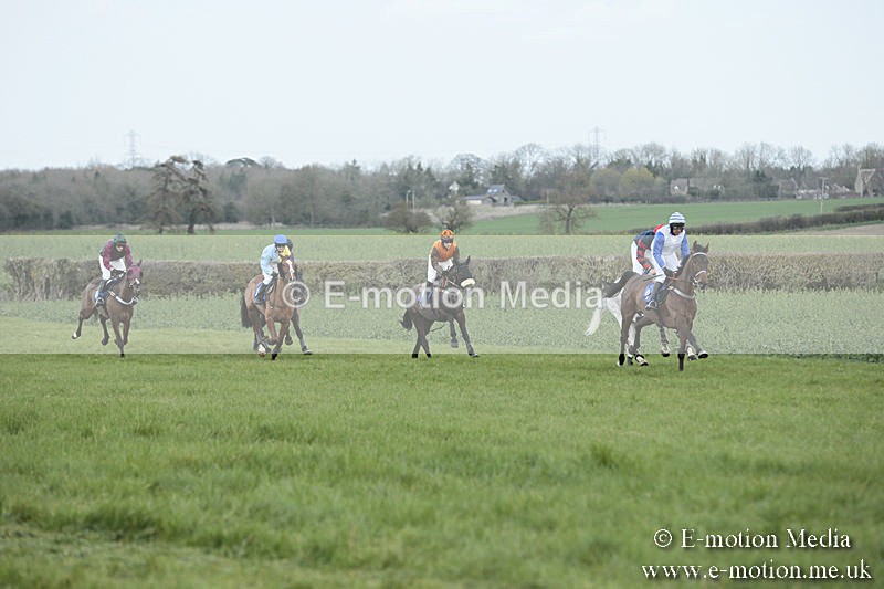 PtP 230319 105 - VWH Hunt Siddington Point-to-Point Racing 23/03/19