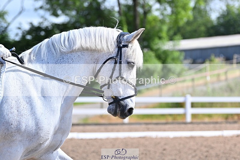 240622A-100401-08062 - Cls 28 BD Music Novice