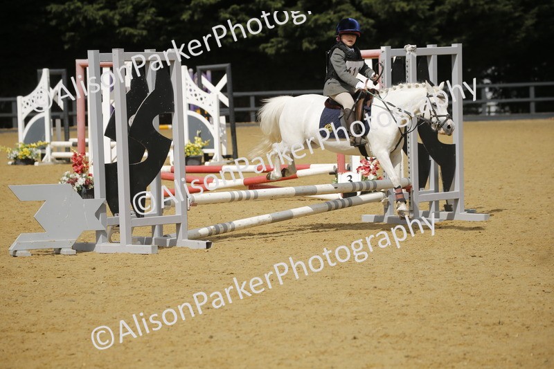 20250622-3717 - 50cm