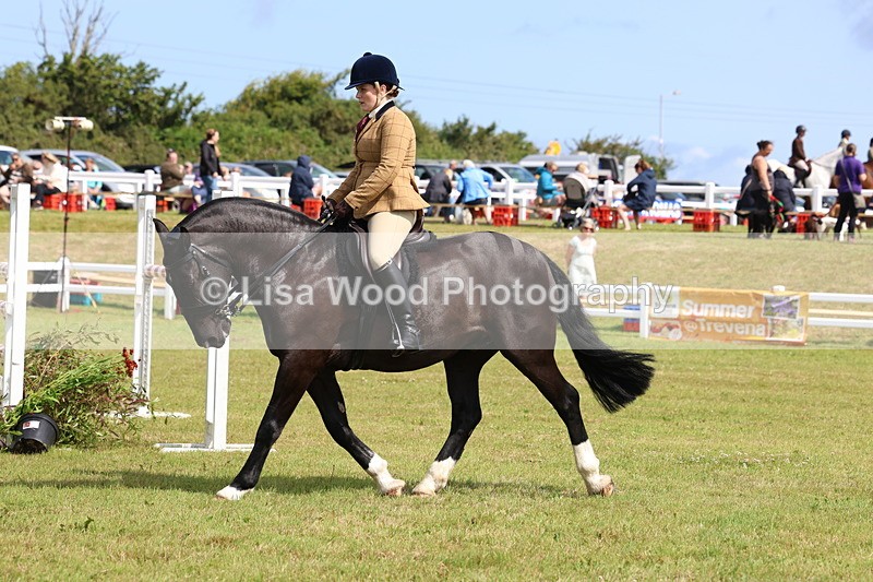 3E7A9821 - Class 5: Rising Star Lightweight/Heavyweight Cobs