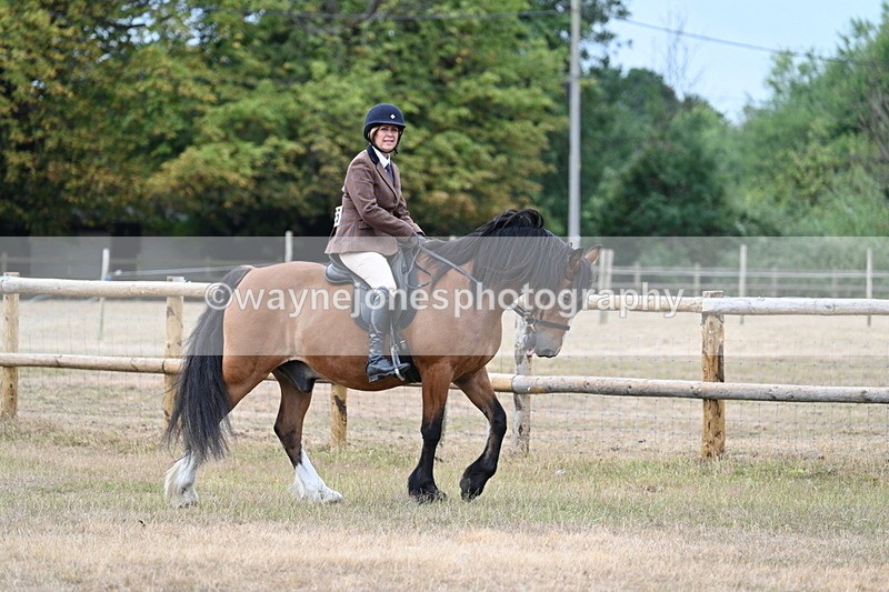 WJ7_0650 - Class 6 Ridden Mountain and Moorland