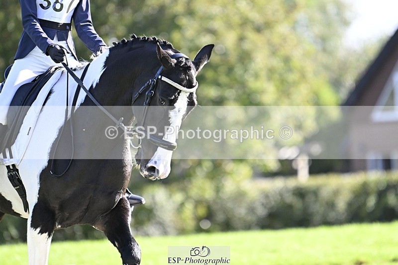 241025-142921-09664 - 387-Kelly.Knockaert-PIPER.II