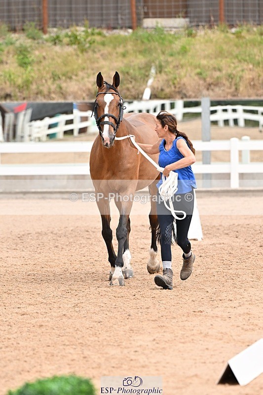 250716-144436-01349 - Trot Up 2.30 to 3.30