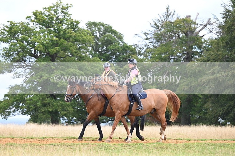 DSC_9244 - Time at Statue 14:33 to 15:10