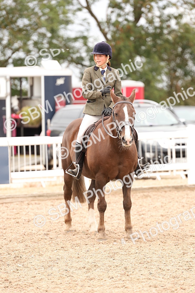 SBM_19585 - Class 215 - Ridden Show cob