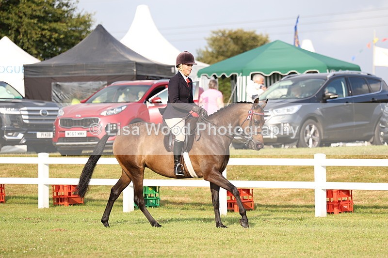 3E7A7679 - Class 1: Rising Star Small Hack/Riding Horses