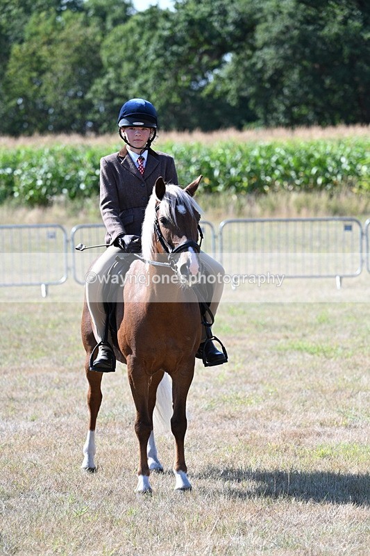 WJ7_3600 - Class 9 Mountain & Moorland Ridden