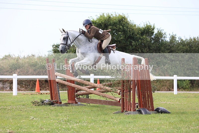 JPP_4173 - Class 25: Working Show Horse