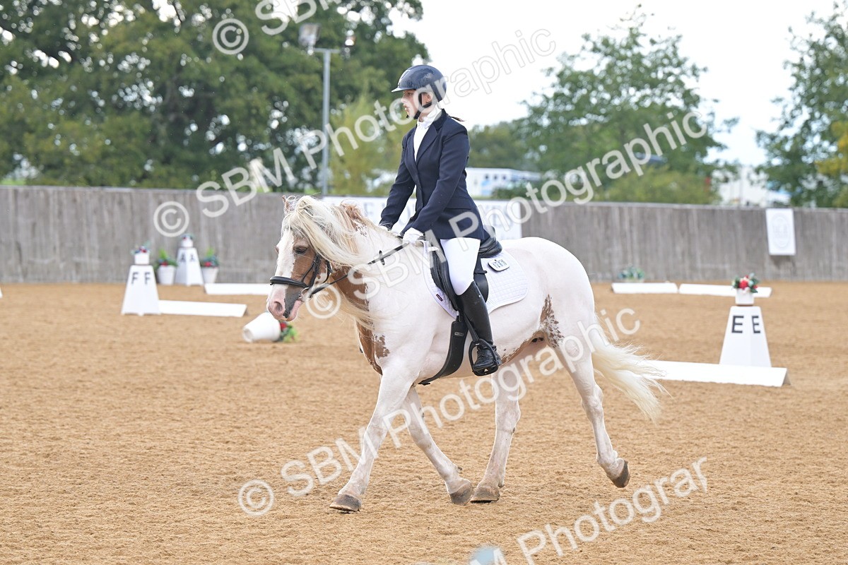 SBM_11204 - D3 - Small Tour Championship Intro 3