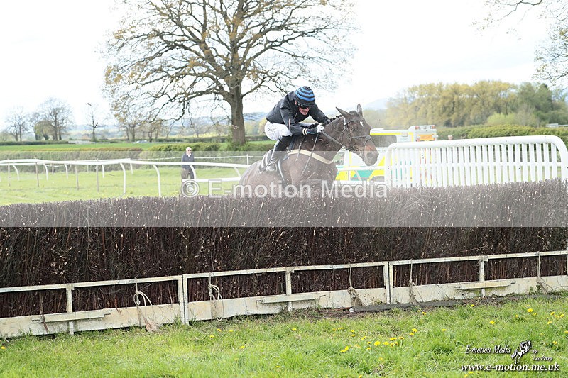 PtP 180426 565 - Worcestershire Hunt PtP Chaddesley Corbett 18/04/26