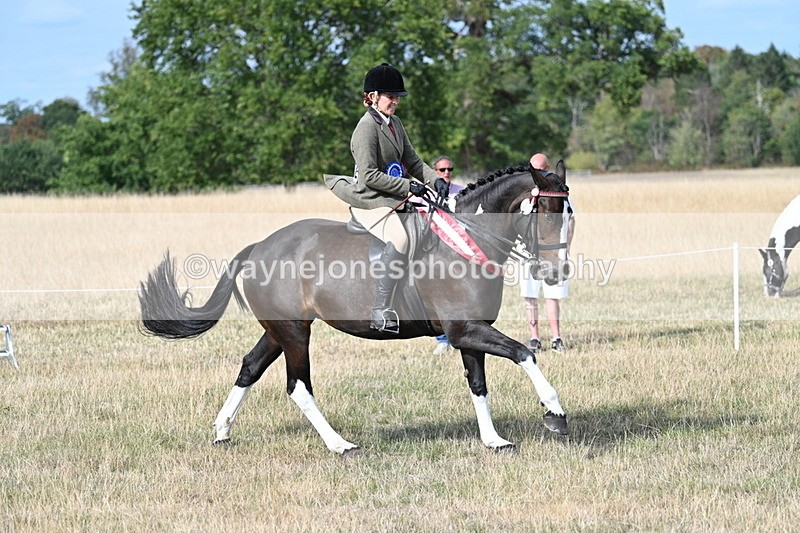 WJ7_7882 - Ridden Championship